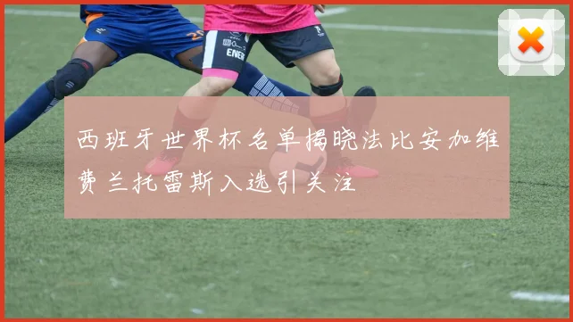 西班牙世界杯名单揭晓法比安加维费兰托雷斯入选引关注